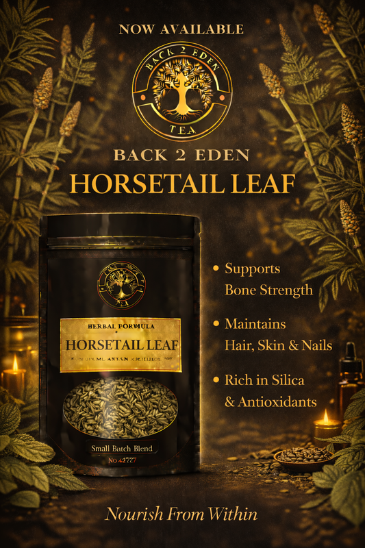 HORSETAIL LEAF